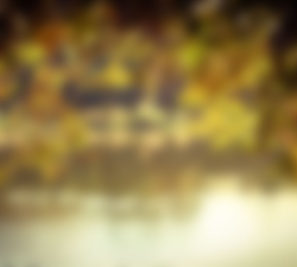 demo-pic-tall-1000x900-2